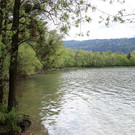 Seeufer _22_.JPG
