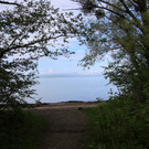 Seeufer _26_.JPG