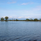 Seeufer _38_.JPG
