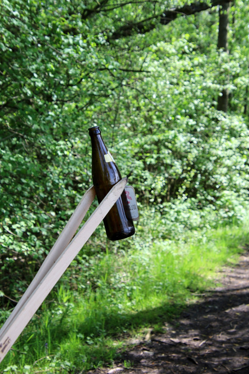 Seeufer _48_.JPG