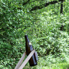 Seeufer _48_.JPG