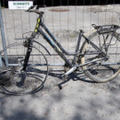 Seeufer _65_.JPG