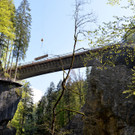 dornbinr2.jpg