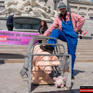 Vienna_at-6.jpg