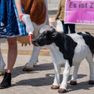 Vienna_at-7.jpg