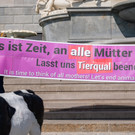 Vienna_at-8.jpg