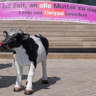 Vienna_at-9.jpg