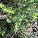IMG_0895.JPG