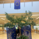 Europatag_Halle_1.jpg