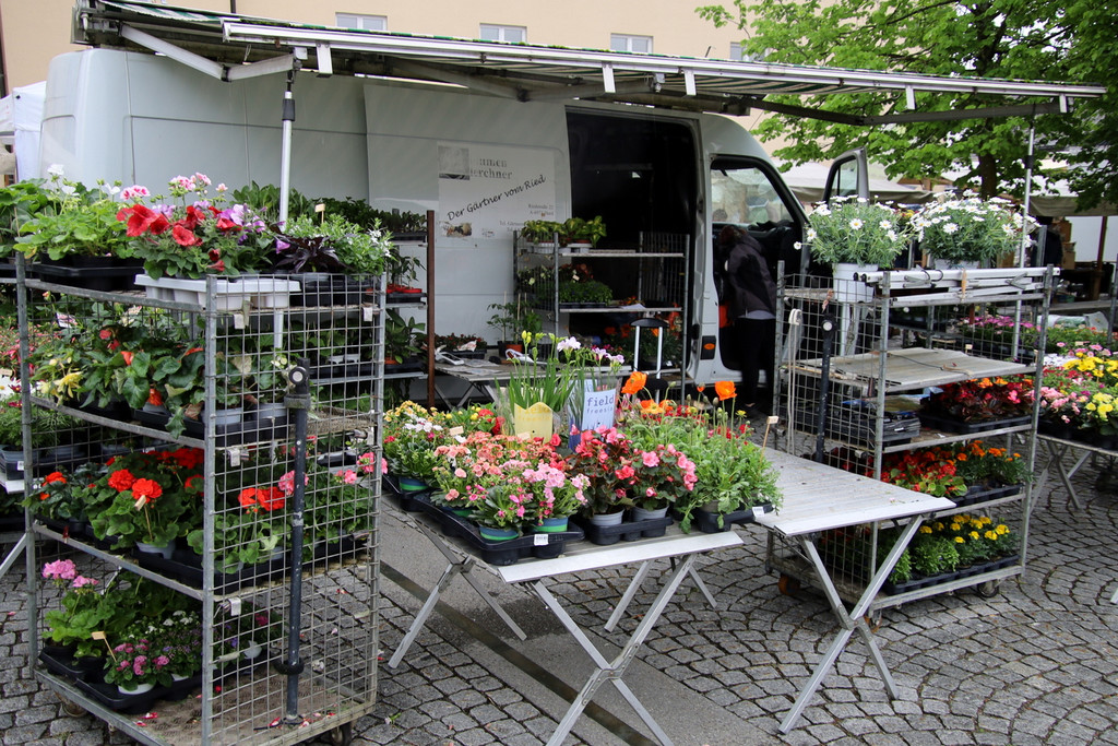 Markt _64_.JPG