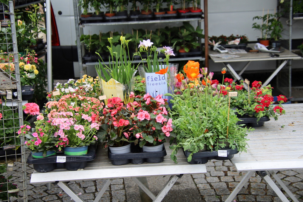 Markt _65_.JPG