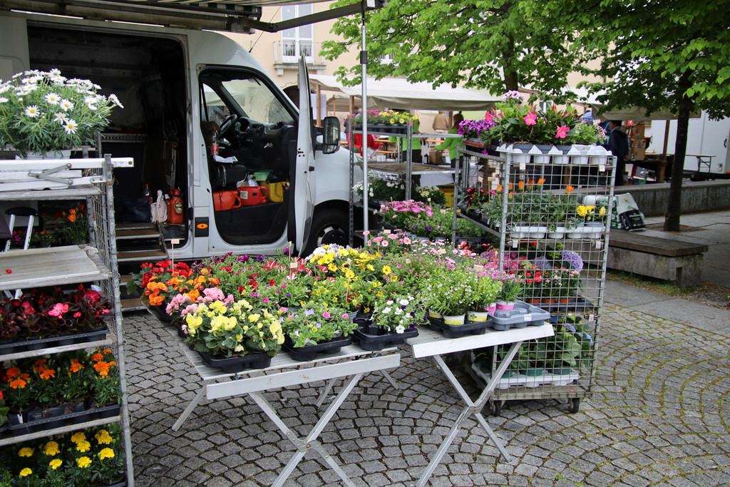 Markt _66_.JPG