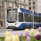 FVZ7065.jpg