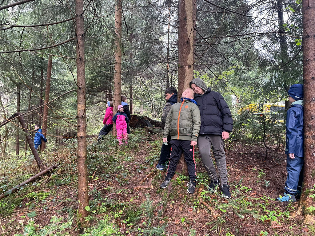 Wald EXKURSION Volkssch__ler by Hehle Paul 02-05-2023 _11_.jpg