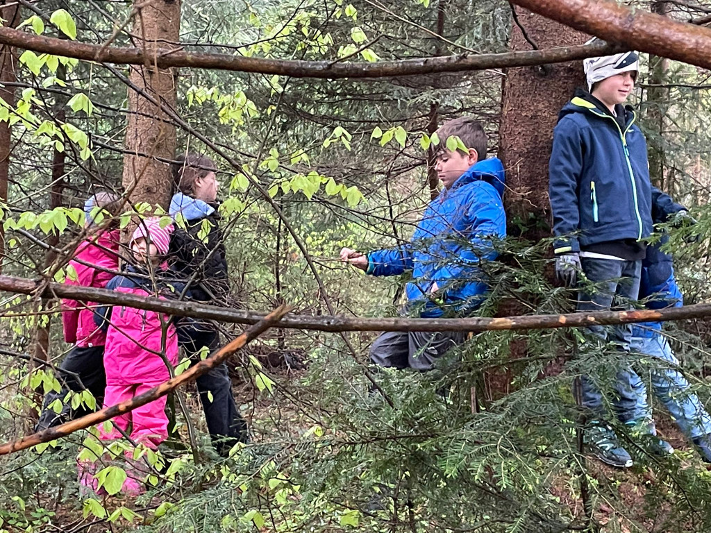 Wald EXKURSION Volkssch__ler by Hehle Paul 02-05-2023 _10_.jpg