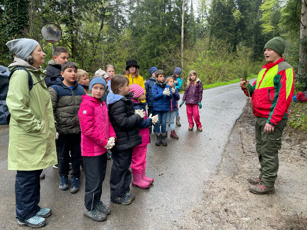 Wald EXKURSION Volkssch__ler by Hehle Paul 02-05-2023 _7_.jpg