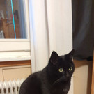 Fotos Luise