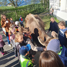 Projekttag Schule Langenegg