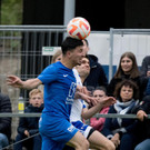 file7q9vpf96dea1bzlar6r8.jpg