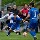 file7q9vpfgw5gjs8dxtc17.jpg