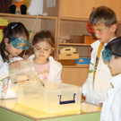 IMG_9033.jpg