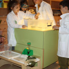 IMG_9038.jpg