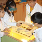 IMG_9043.jpg
