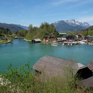 DSCF7809.JPG