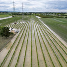 2023-05-22T125801Z_400374091_RC2111A53G0G_RTRMADP_3_EUROPE-WEATHER-ITALY-AGRICULTURE.JPG