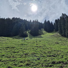AlpeSpora12.jpg