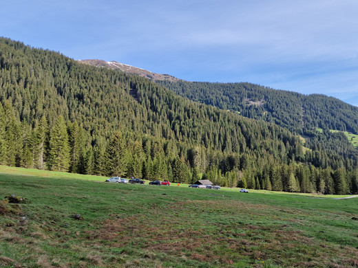 AlpeSpora13.jpg