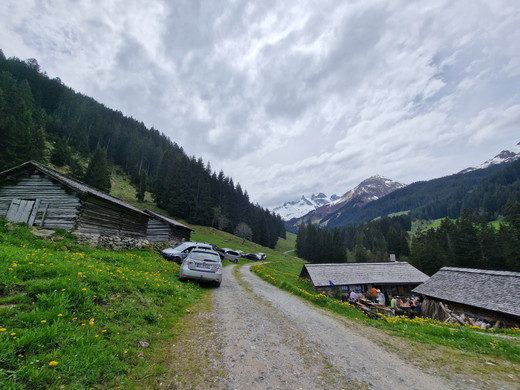AlpeSpora16.jpg