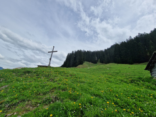 AlpeSpora17.jpg