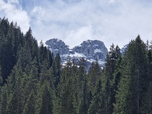 AlpeSpora18.jpg