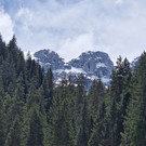 AlpeSpora18.jpg