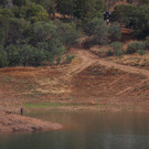 AFP_33FX4QR.jpg