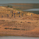 AFP_33FX99K.jpg