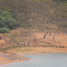 AFP_33FX99P.jpg