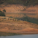 AFP_33FX99Q.jpg