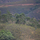 AFP_33FX99R.jpg