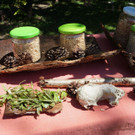 DSC08713.JPG