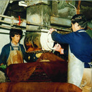 Torkel 4.jpg