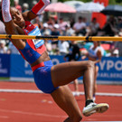 file7qdviuds5dt14iglha9u.jpg