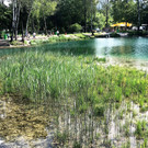 Pfingstradeln