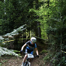 image00002.jpeg