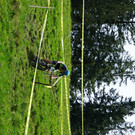image00009.jpeg