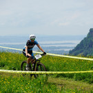 image00013.jpeg