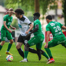 file7qhkakl3g8ovr5x0g3p.jpg