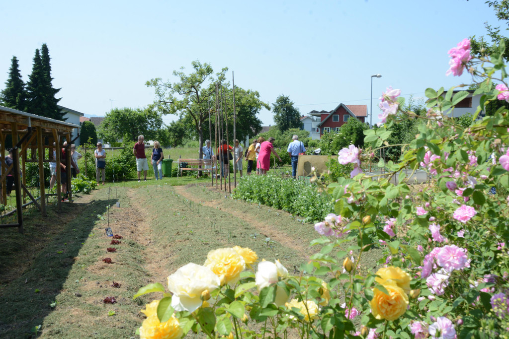 PU1_5278 - Kopie.JPG