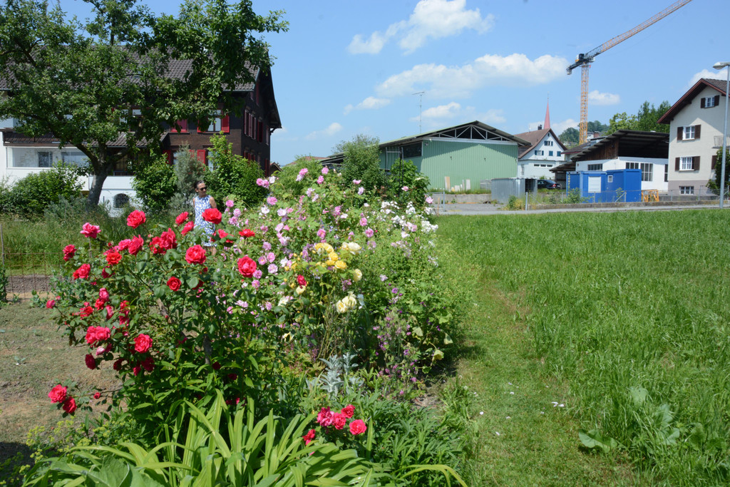 PU1_5277 - Kopie.JPG